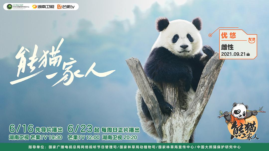 熊猫一家人 剧照1