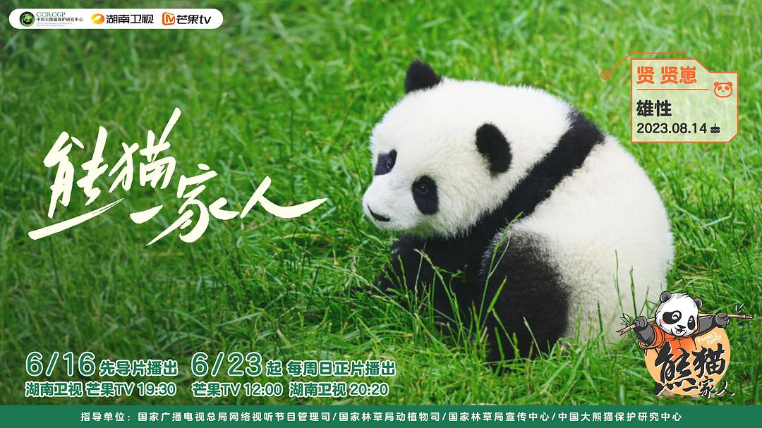 熊猫一家人 剧照2