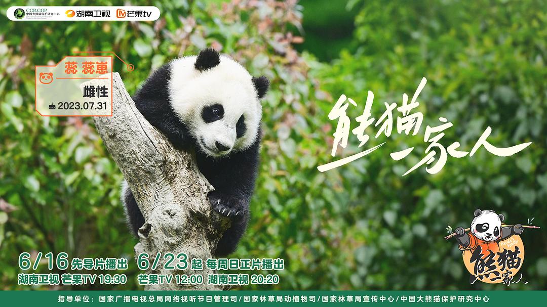 熊猫一家人 剧照3