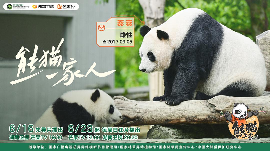 熊猫一家人 剧照4