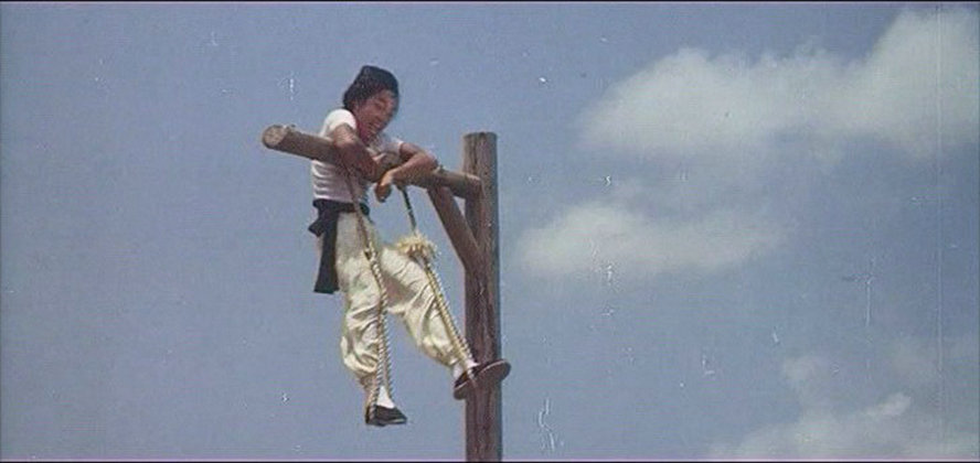 蛇形醉步 剧照8