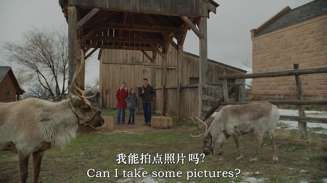迷人圣诞节 剧照3