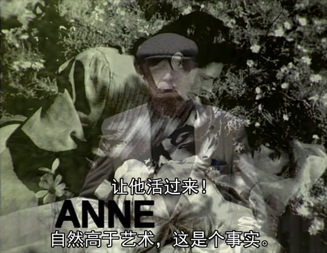 电影史-3B 新浪潮 剧照5