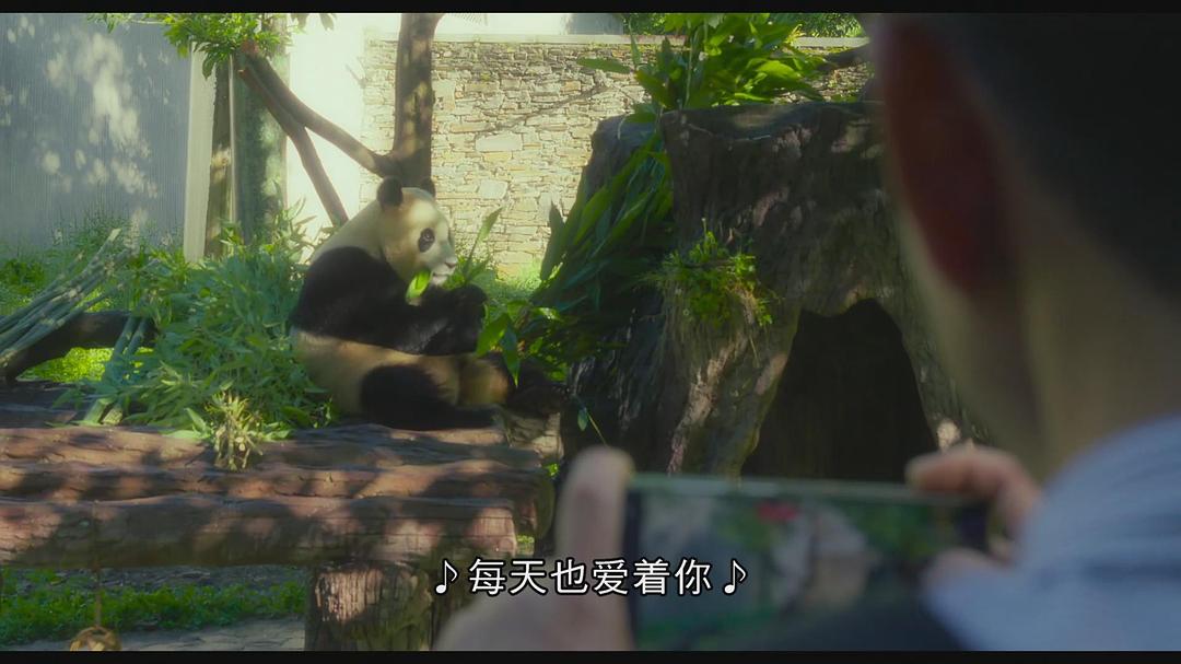 再见,福宝 剧照4