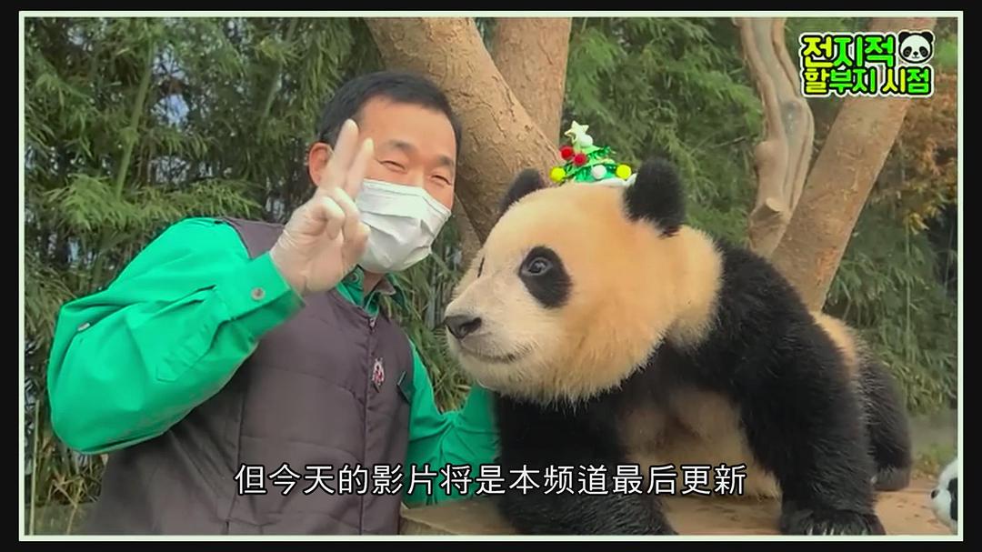 再见,福宝 剧照8