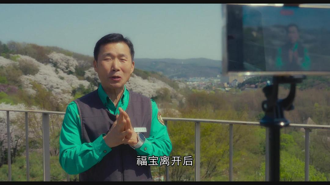 再见,福宝 剧照9