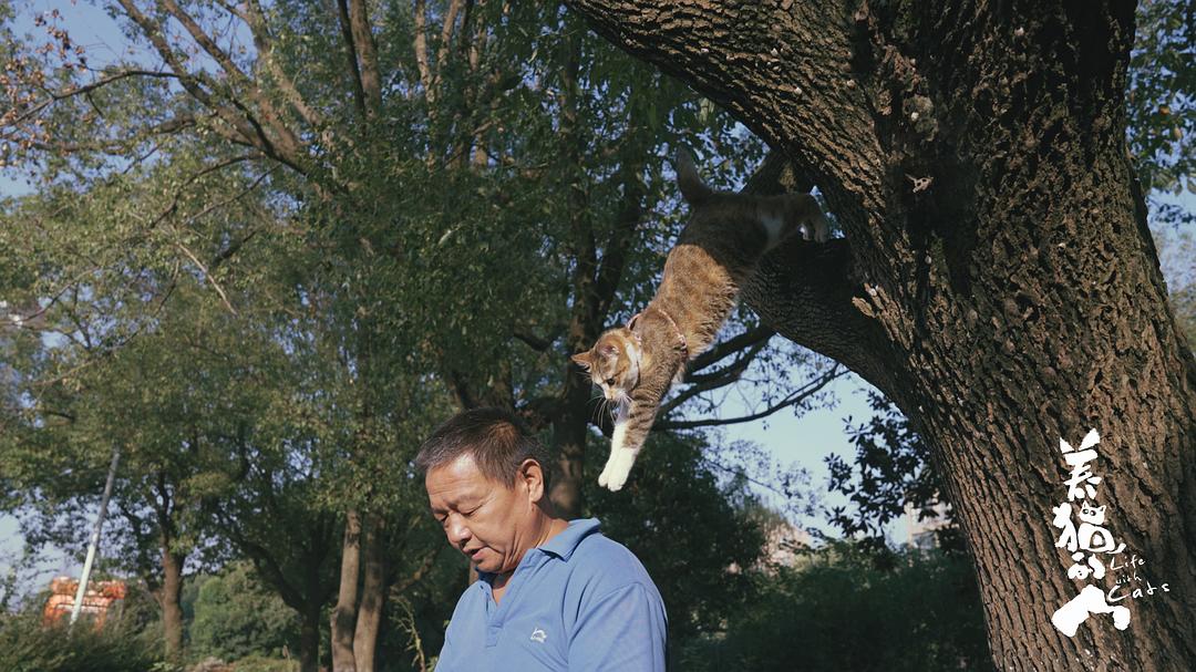养猫的人 剧照1