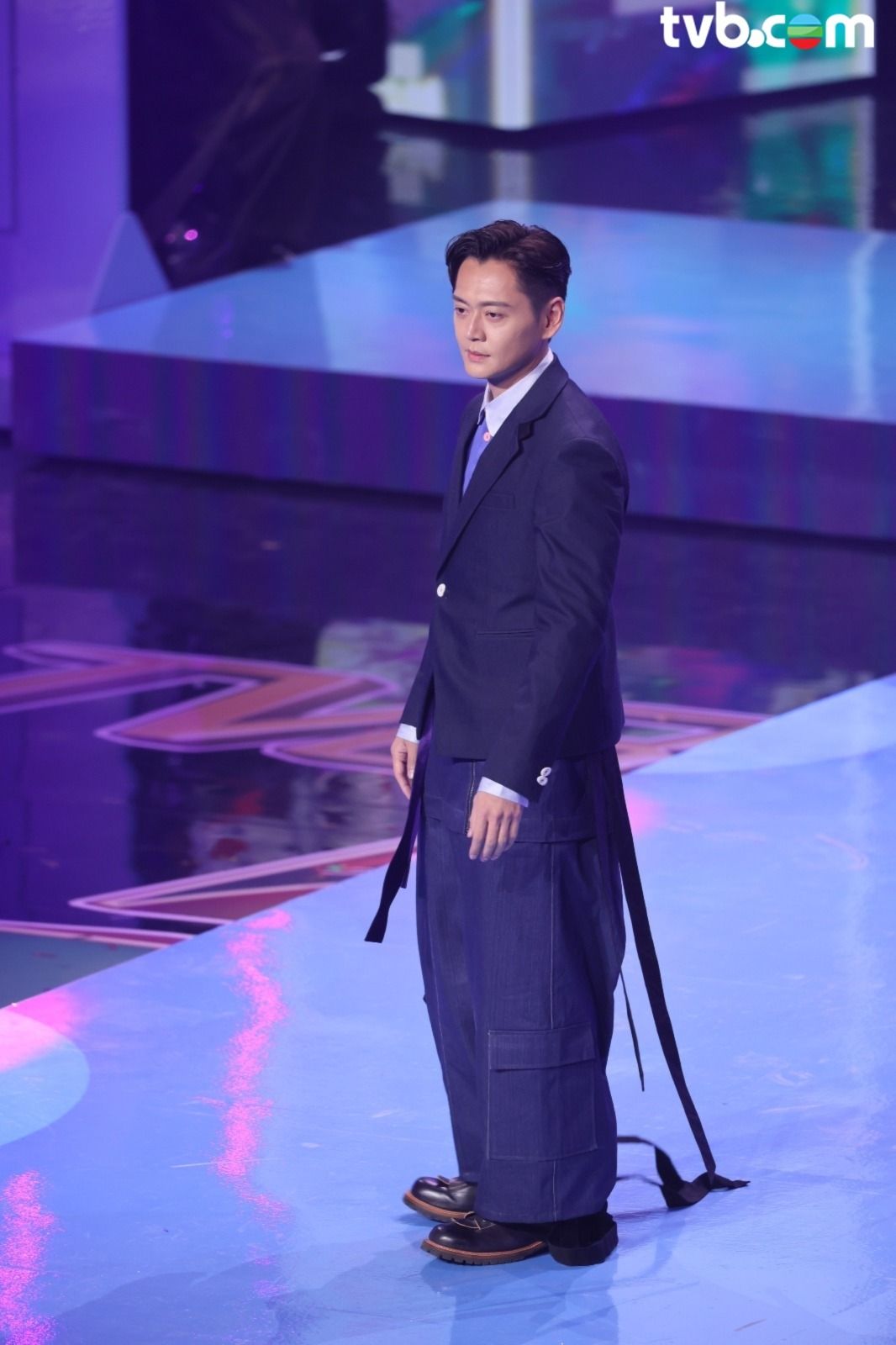 万千星辉贺台庆 2024 剧照4