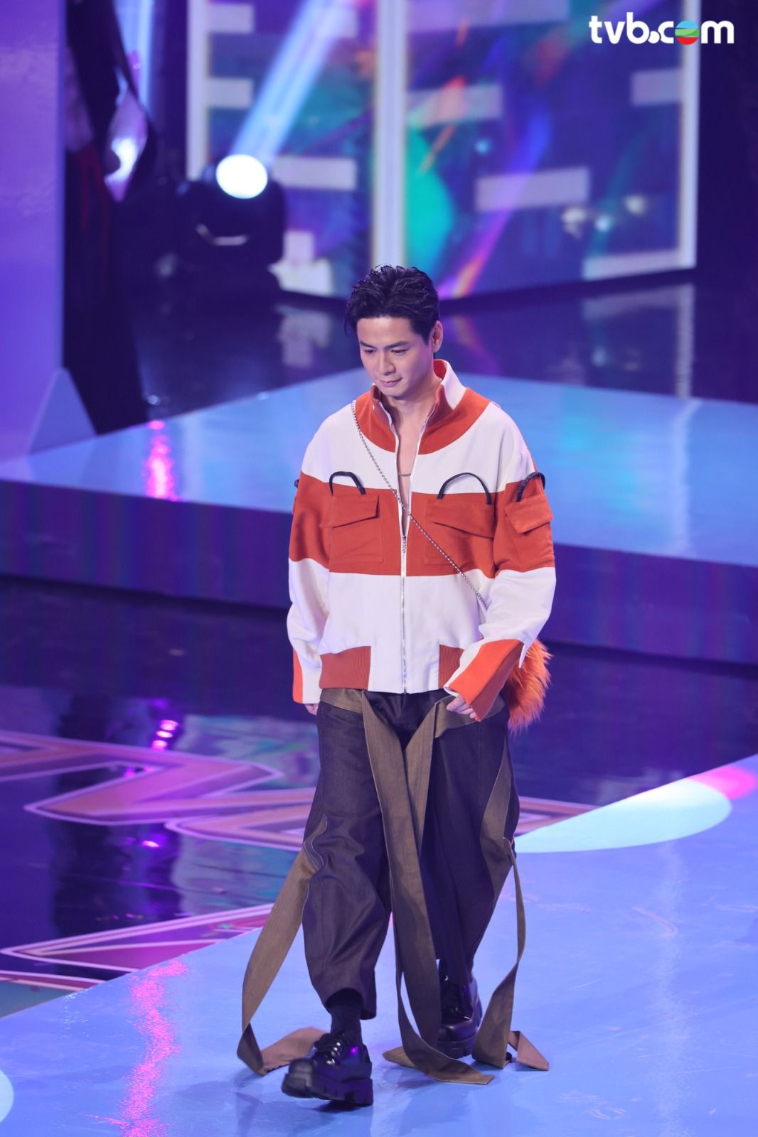 万千星辉贺台庆 2024 剧照6