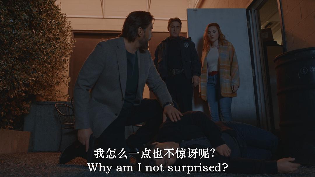 奥罗拉·蒂加登之谜:餐厅里的死亡 剧照5