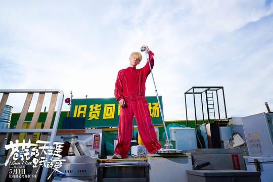 苍茫的天涯是我的爱 剧照5