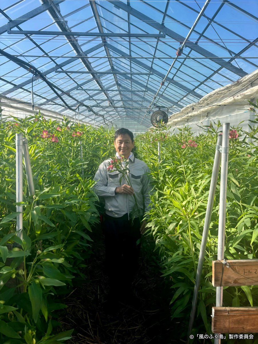 风之福岛 剧照2