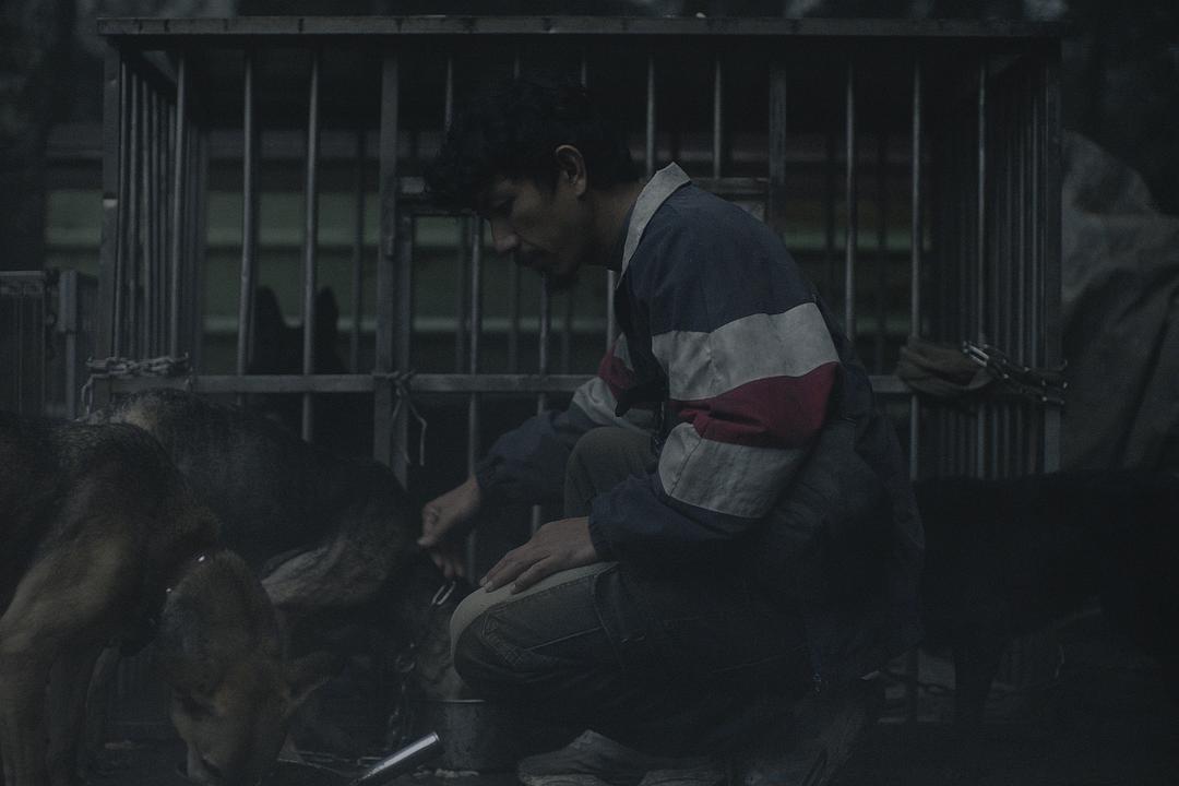 白衣苍狗 剧照1