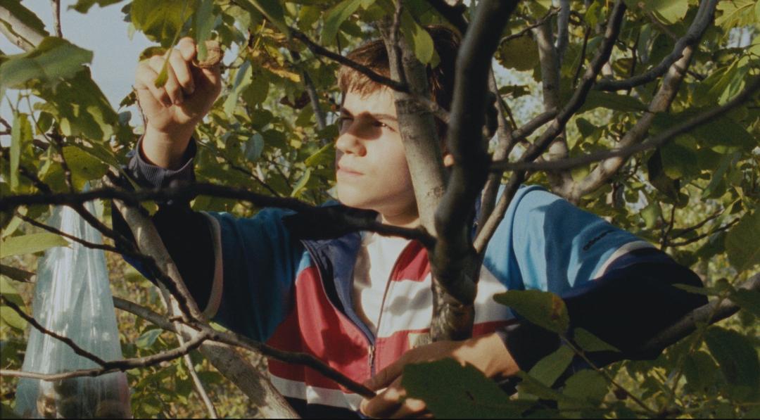 失落的国度 剧照6