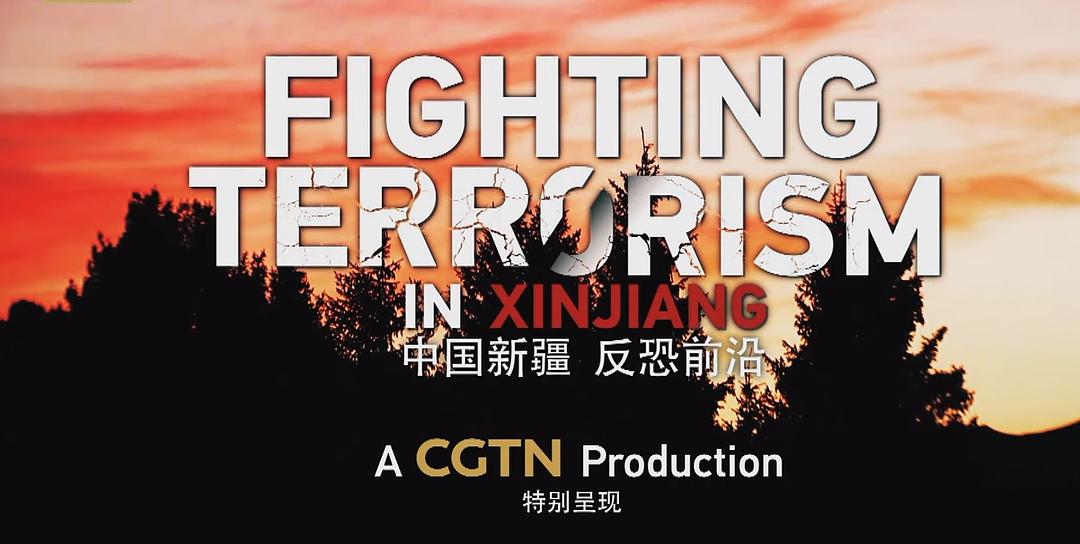 中国新疆反恐前沿 剧照1