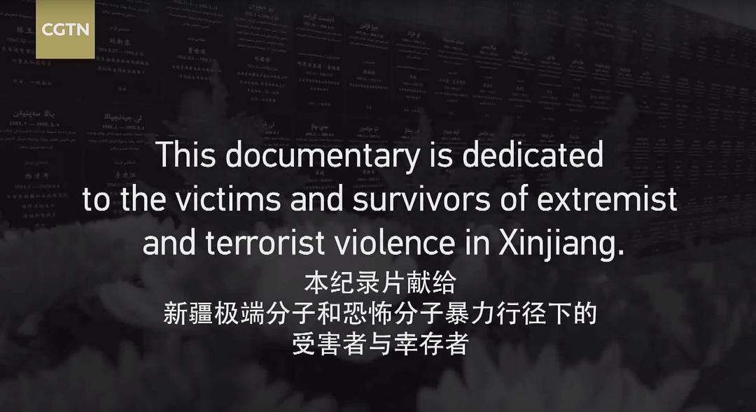 中国新疆反恐前沿 剧照2