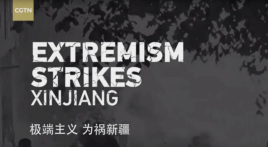 中国新疆反恐前沿 剧照6