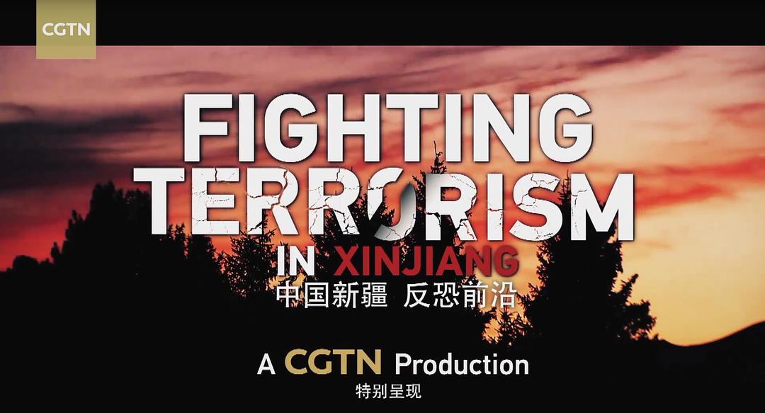 中国新疆反恐前沿 剧照8