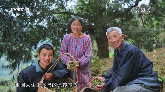 舌尖上的中国 第四季 剧照3