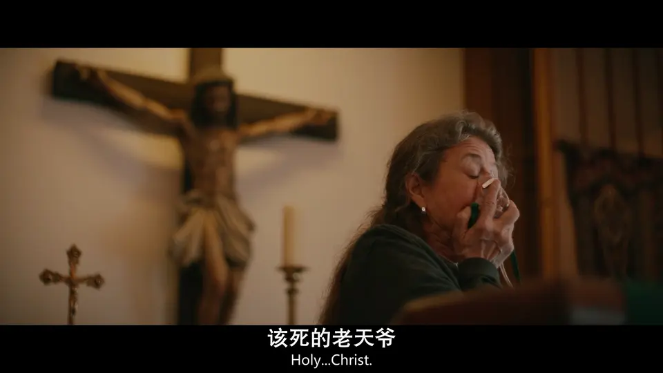 黄蜂 第三季 剧照3
