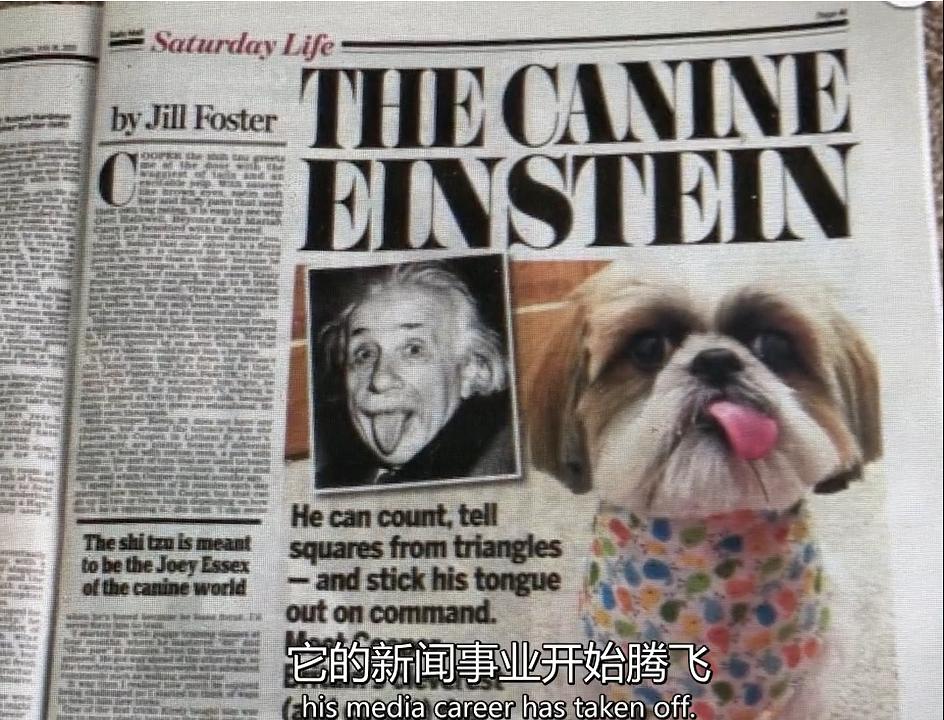 天才狗狗 剧照3