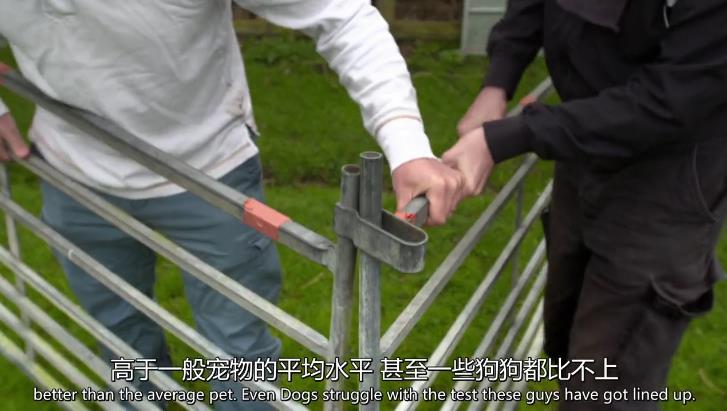 天才狗狗 剧照4
