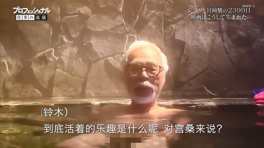 Professional 行家本色 吉卜力与宫崎骏的2399天 剧照4