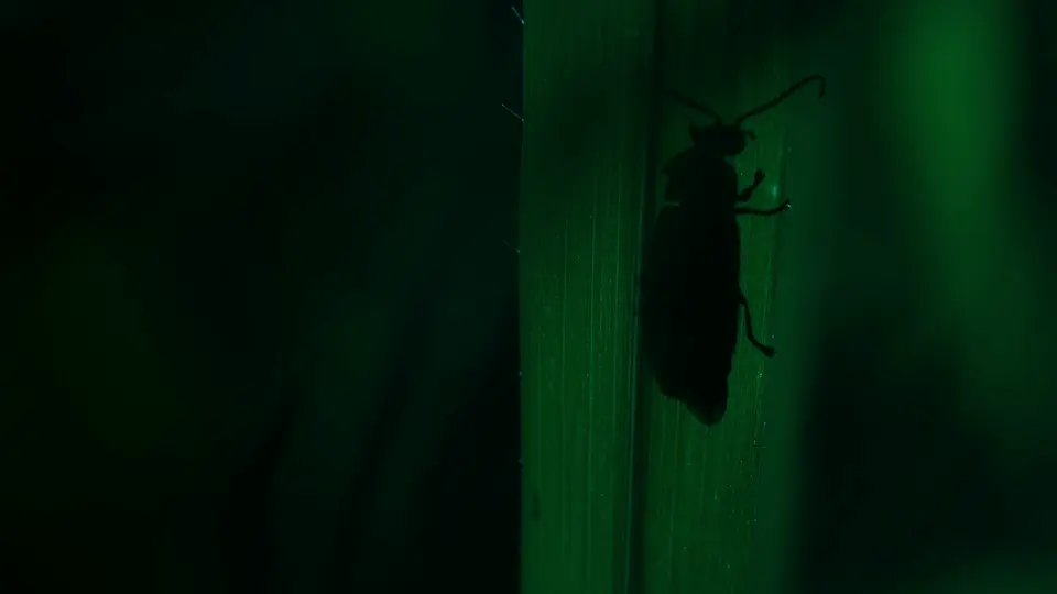 美洲大陆 第一季 剧照1