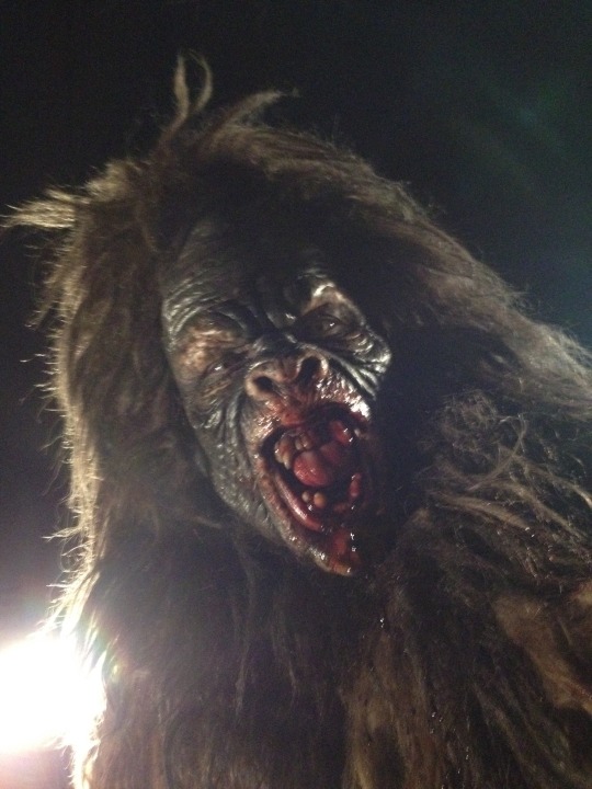 Bigfoot The Movie 剧照2