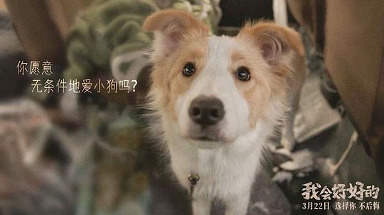 我会好好的 剧照4