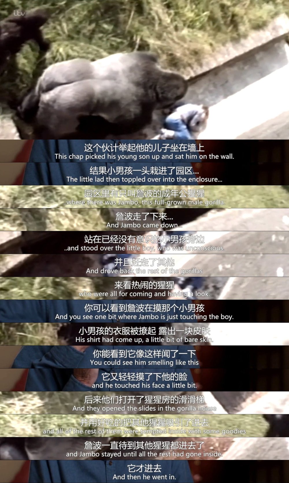 真实的德雷尔一家 剧照1
