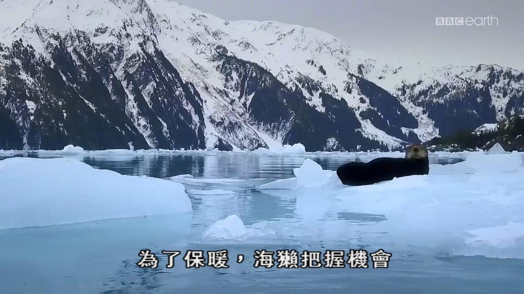 雪地特工队 剧照3