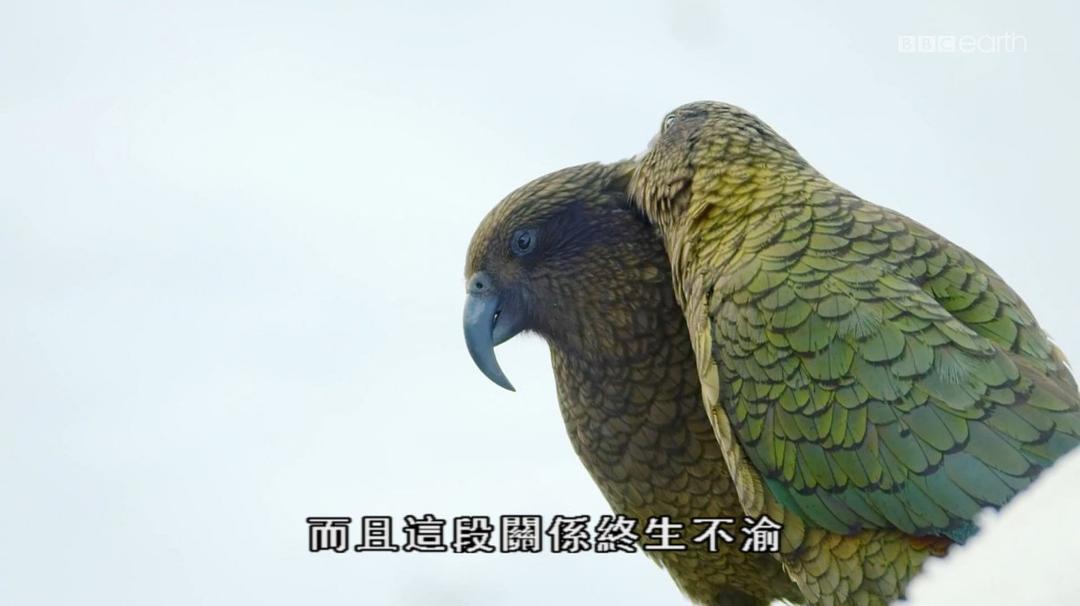 雪地特工队 剧照6