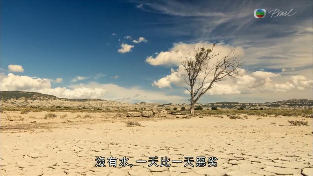 野性伊比利亚 第一季 剧照3
