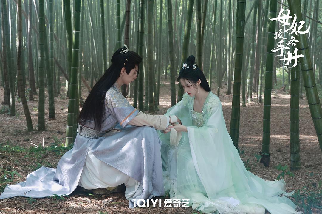 母妃攻略手册 剧照7
