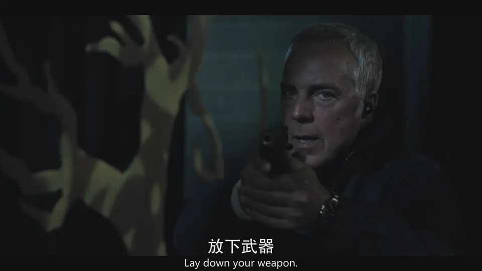 博斯:传承 第三季 剧照1