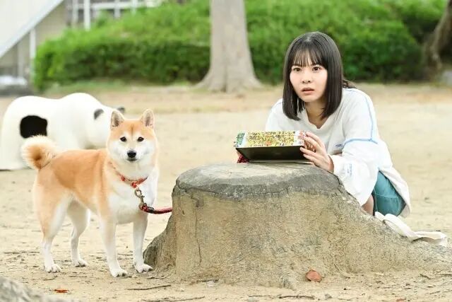 今日份的散步 剧照5