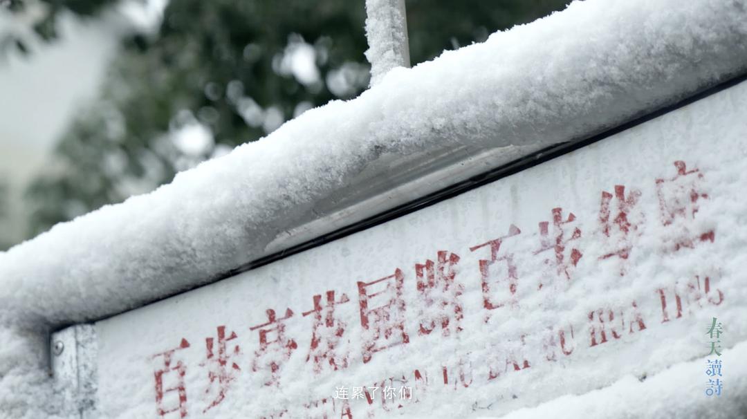 春天读诗武汉特辑 剧照3