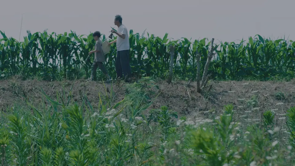 等爱回家 剧照4