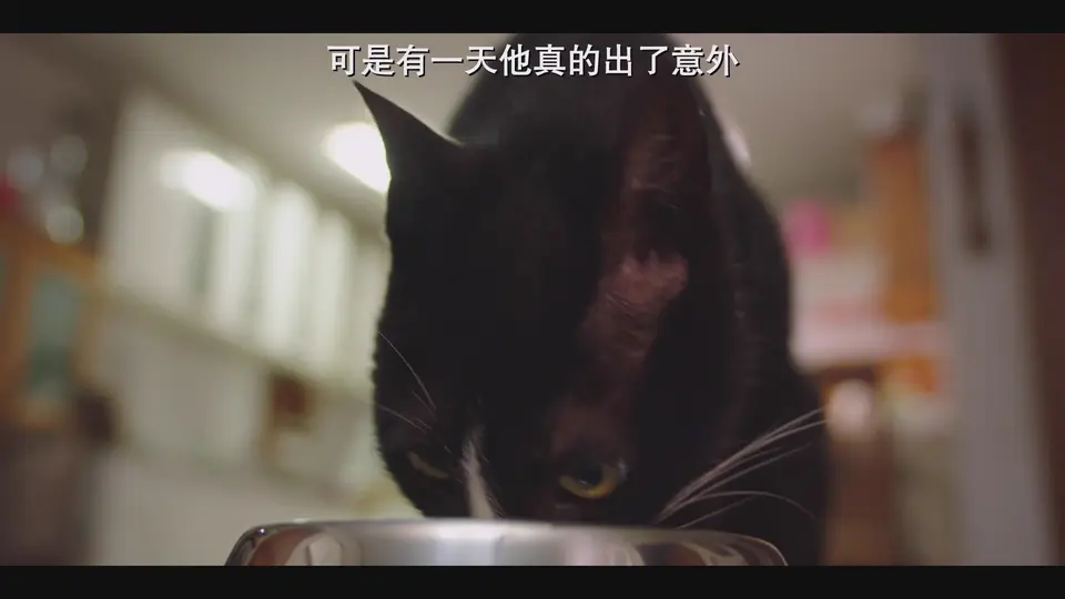 比天堂还美丽 剧照4