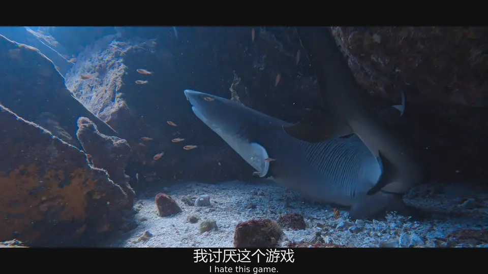 海狮利奥环岛记 剧照2