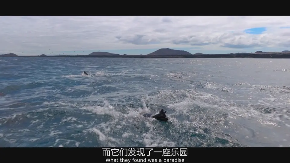 海狮利奥环岛记 剧照5