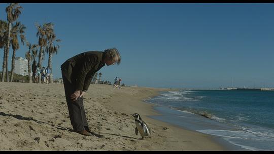 我的企鹅老师 剧照4