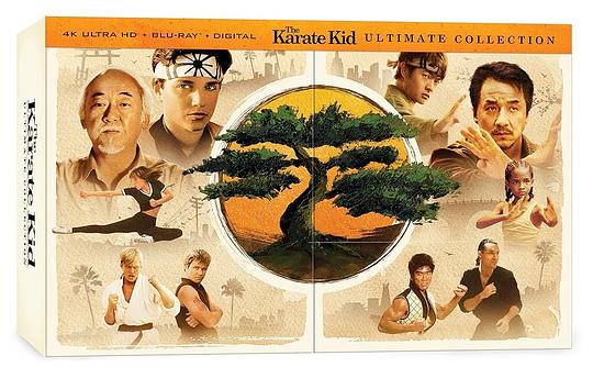 功夫梦:融合之道 剧照4