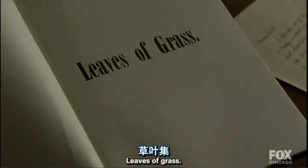 纽约传奇 剧照4