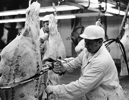 肉 剧照3