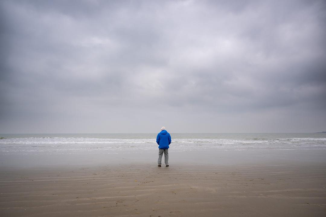 大卫·爱登堡:海洋 剧照1