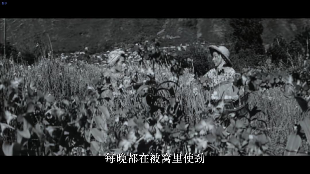 山河依旧 剧照1
