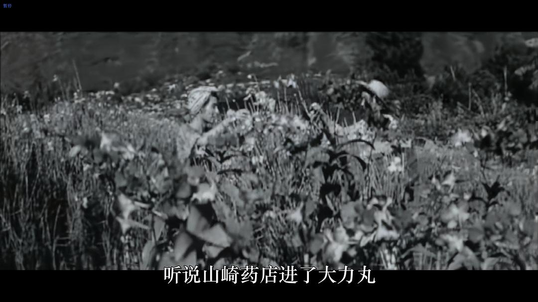 山河依旧 剧照4