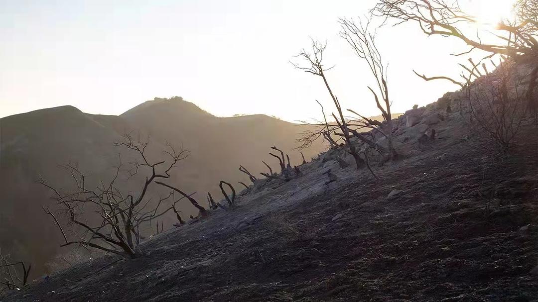 Our Changing Planet Season 1 剧照7